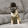snakeeater005
